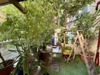 casa a schiera in vendita Legnago foto 021__img_9342_2.jpg