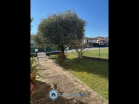 casa singola in vendita Cadoneghe foto 002__foto_3.jpg