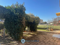 casa singola in vendita Cadoneghe foto 003__foto_4.jpg