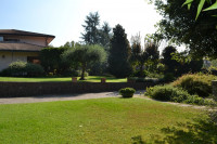 villa in vendita Rovigo foto 031__giardino.jpg