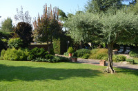 villa in vendita Rovigo foto 033__giardino2.jpg