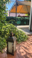 casa singola in vendita Selvazzano Dentro foto 000__angolo_di_giardino.jpg
