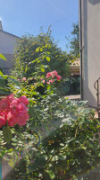casa singola in vendita Selvazzano Dentro foto 024__giardino.jpg