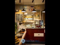 attività commerciale in vendita Castelfranco Veneto foto 999__foto_2.jpg