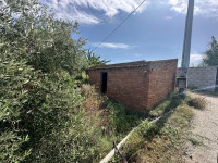 terreno in vendita Milazzo foto 004__whatsapp_image_2025-09-26_at_17_29_02__1.jpg