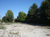 terreno in vendita Rovigo foto 000__dsc00381.jpg
