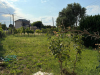 casa singola in vendita Villamarzana foto 004__whatsapp_image_2025-09-25_at_15_25_05__2.jpg