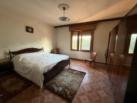 casa singola in vendita Villamarzana foto 011__whatsapp_image_2025-09-25_at_15_25_27__2.jpg