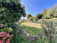 casa singola in vendita Legnago foto 025__img_2437.jpg