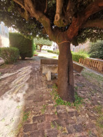 appartamento in vendita Catanzaro foto 016__photo-2025-10-16-14-58-57__1.jpg
