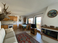 appartamento in vendita Lorenzago di Cadore foto 000__zona-relax.jpg