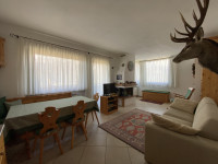 appartamento in vendita Lorenzago di Cadore foto 001__zona_pranzo.jpg