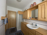 appartamento in vendita Lorenzago di Cadore foto 022__arredo_bagno.jpg