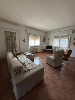 appartamento in vendita Badia Polesine foto 002__whatsapp_image_2025-10-14_at_16_43_21__16.jpg