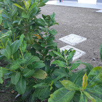 appartamento in vendita Padova foto 001__20251017_102446.jpg