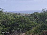 land for sale Quartu Sant'Elena foto 999__2.jpg