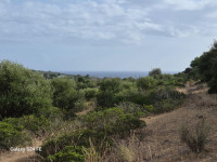 land for sale Quartu Sant'Elena foto 999__3.jpg