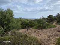 land for sale Quartu Sant'Elena foto 999__4.jpg
