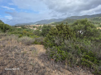 land for sale Quartu Sant'Elena foto 999__5.jpg
