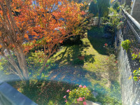 villa in vendita Morano sul Po foto 033__photo-2025-10-28-16-32-57.jpg