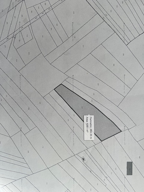 foto principale annuncio