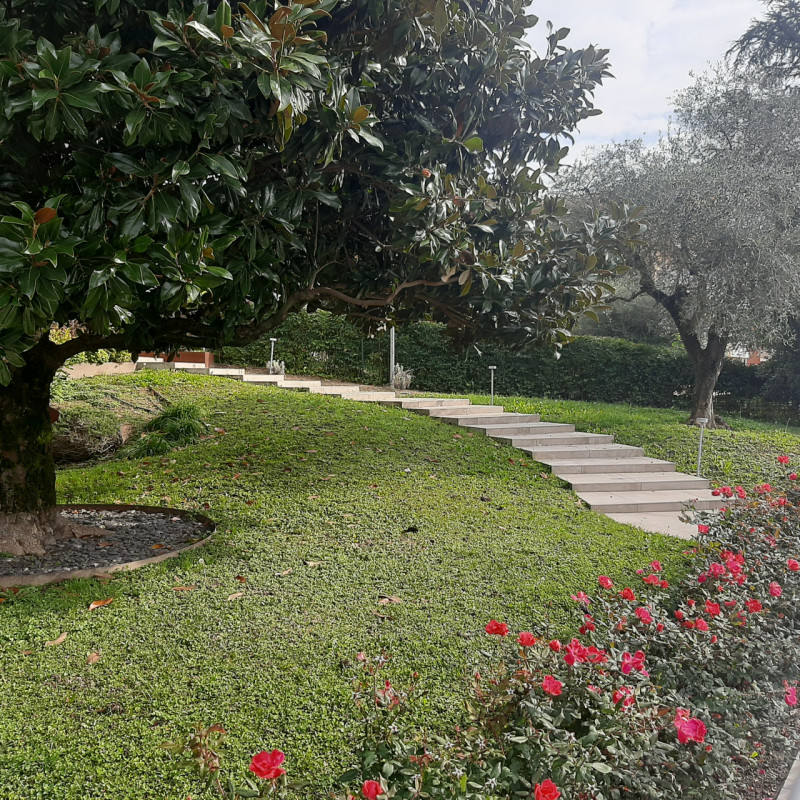 foto principale annuncio