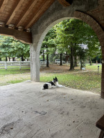 villa in vendita Loreggia foto 000__img_0294_2024-09-17_09_24_58.jpg