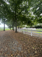 villa in vendita Loreggia foto 005__img_0302_2024-09-17_09_25_15.jpg