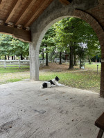 villa in vendita Loreggia foto 008__img_0295_2024-09-17_09_24_59.jpg