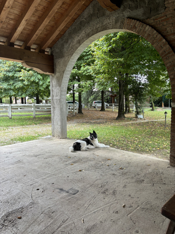 foto principale annuncio