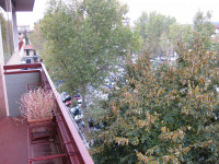 appartamento in affitto Firenze foto 015__terrazza_a_3.jpg