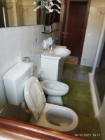 appartamento in affitto Firenze foto 017__img_20251014_161112.jpg