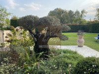 villa in vendita Fontaniva foto 003__img_5803_wmk_0.jpg