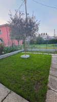 bifamiliare in vendita Grisignano di Zocco foto 022__grisignano_giardino_portico_terrazzo__2.jpg
