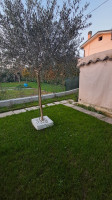 bifamiliare in vendita Grisignano di Zocco foto 023__grisignano_giardino_portico_terrazzo__3.jpg