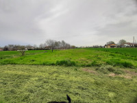 terreno in vendita Mira foto 999__20250328_171005.jpg