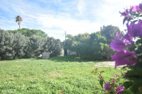 land for sale Quartu Sant'Elena foto 005__6.jpg