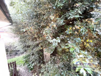 villa in vendita Abano Terme foto 017__img_7574_wmk_0.jpg