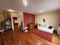 appartamento in affitto Pianiga foto 001__img_2613.jpg