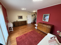 appartamento in affitto Pianiga foto 002__img_2614.jpg