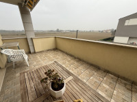 appartamento in affitto Pianiga foto 005__img_2617.jpg