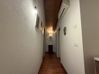 appartamento in affitto Pianiga foto 015__img_2628.jpg