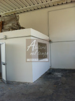 capannone in affitto Tezze sul Brenta foto 002__007_wmk_0.jpg