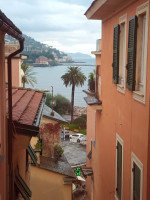 apartamento para alquiler Rapallo foto 000__img-20251112-wa0033.jpg