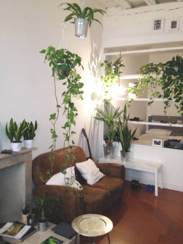 foto principale annuncio