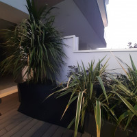 attico in vendita Vigodarzere foto 002__20251024_182045.jpg