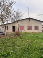 casa singola in affitto Ceneselli foto 000__whatsapp_image_2025-11-24_at_18_40_26.jpg