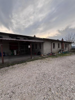 casa singola in affitto Ceneselli foto 001__whatsapp_image_2025-11-24_at_18_40_25__1.jpg