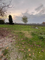 casa singola in affitto Ceneselli foto 003__whatsapp_image_2025-11-24_at_18_40_26__1.jpg