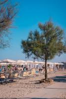 laboratorio in vendita Comacchio foto 003__706333103.jpg